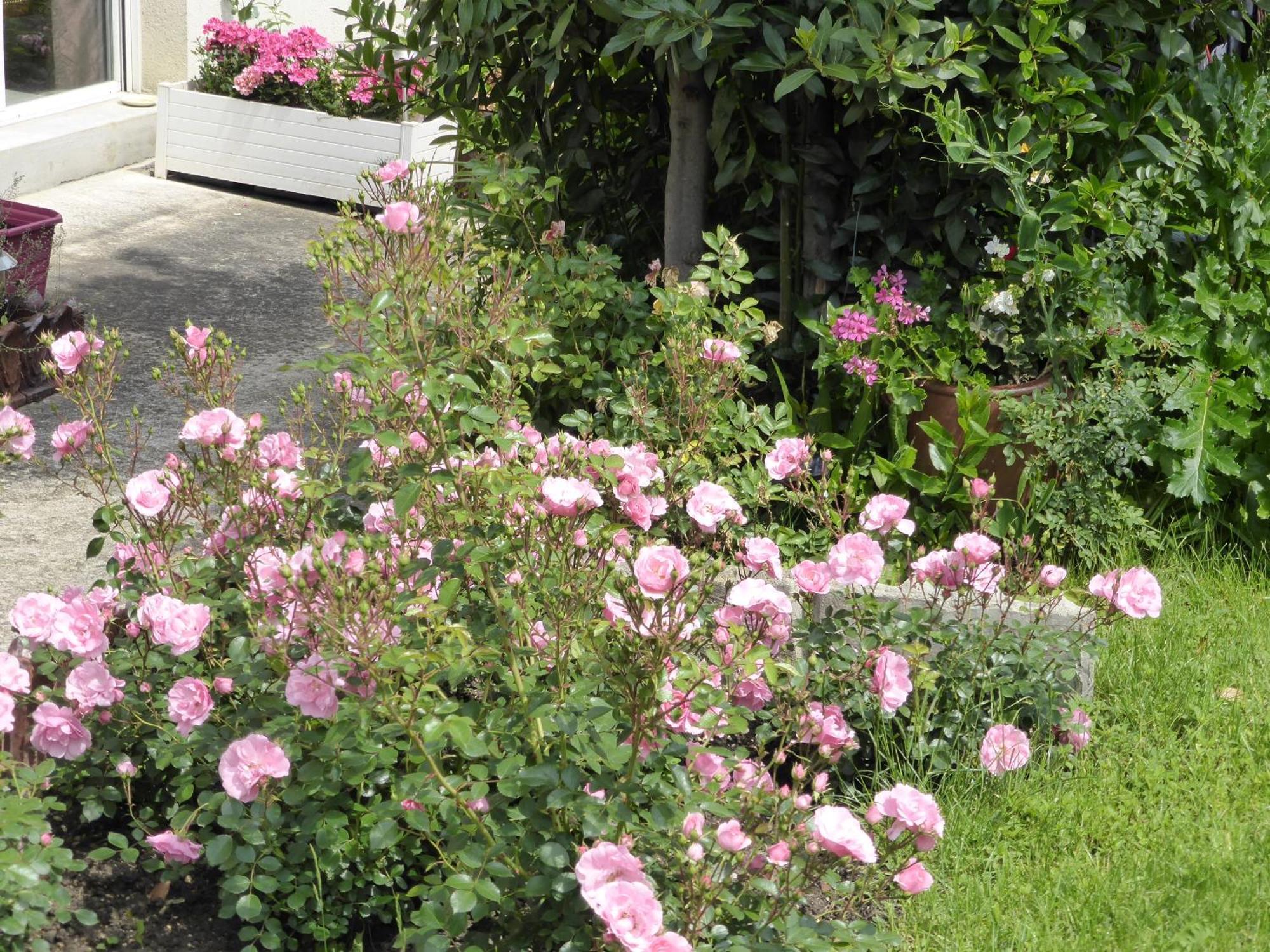 Une Chambre A Neuilly Guest House Exterior photo